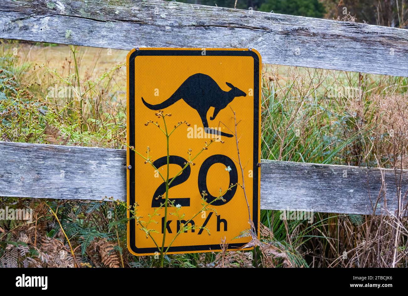 Geschwindigkeitsbegrenzung am Straßenrand zum Schutz der Wildtiere. Tasmanien, Australien. Stockfoto