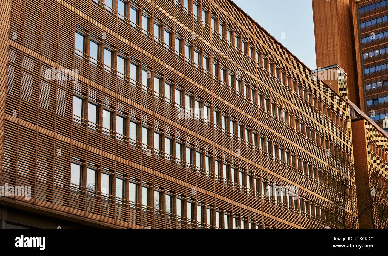 Die braune Holzfassade mit einer Reihe von Fenstern unterstreicht den modernen Trend zum Bau von Fachwerkhäusern. Moderner Wohnbereich aus Holz Stockfoto