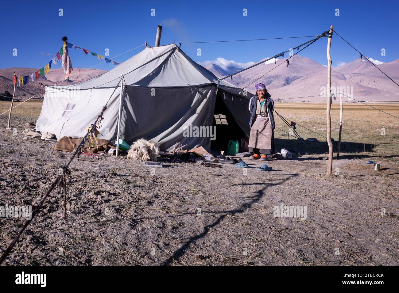 Changpa Nomade vor ihrem Zelt, Hanle Area, Ladakh, Indien Stockfoto