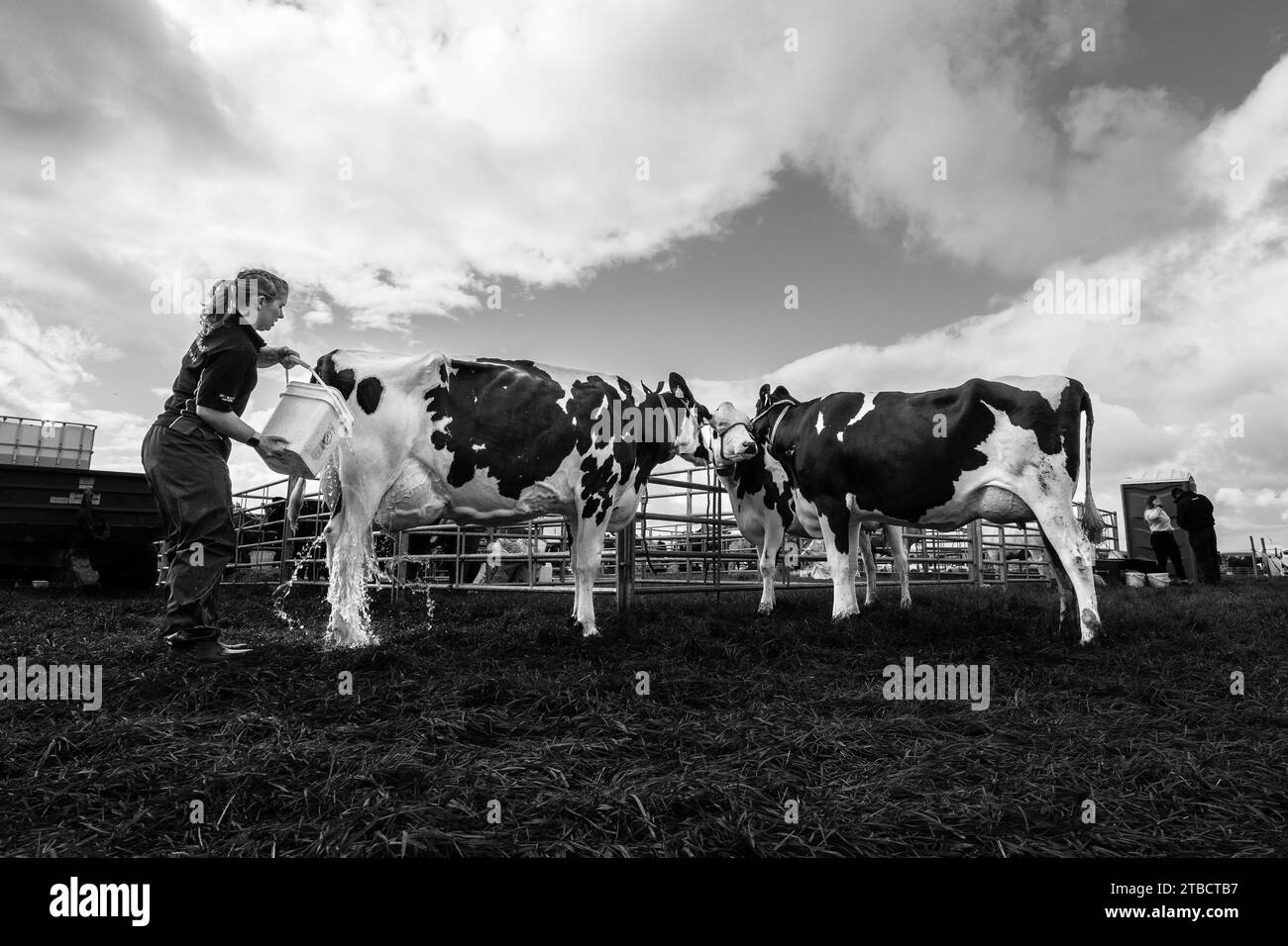 Bilder Der Carnwath And Biggar Agricultural Society Zeigen Sommer 2023 Stockfoto