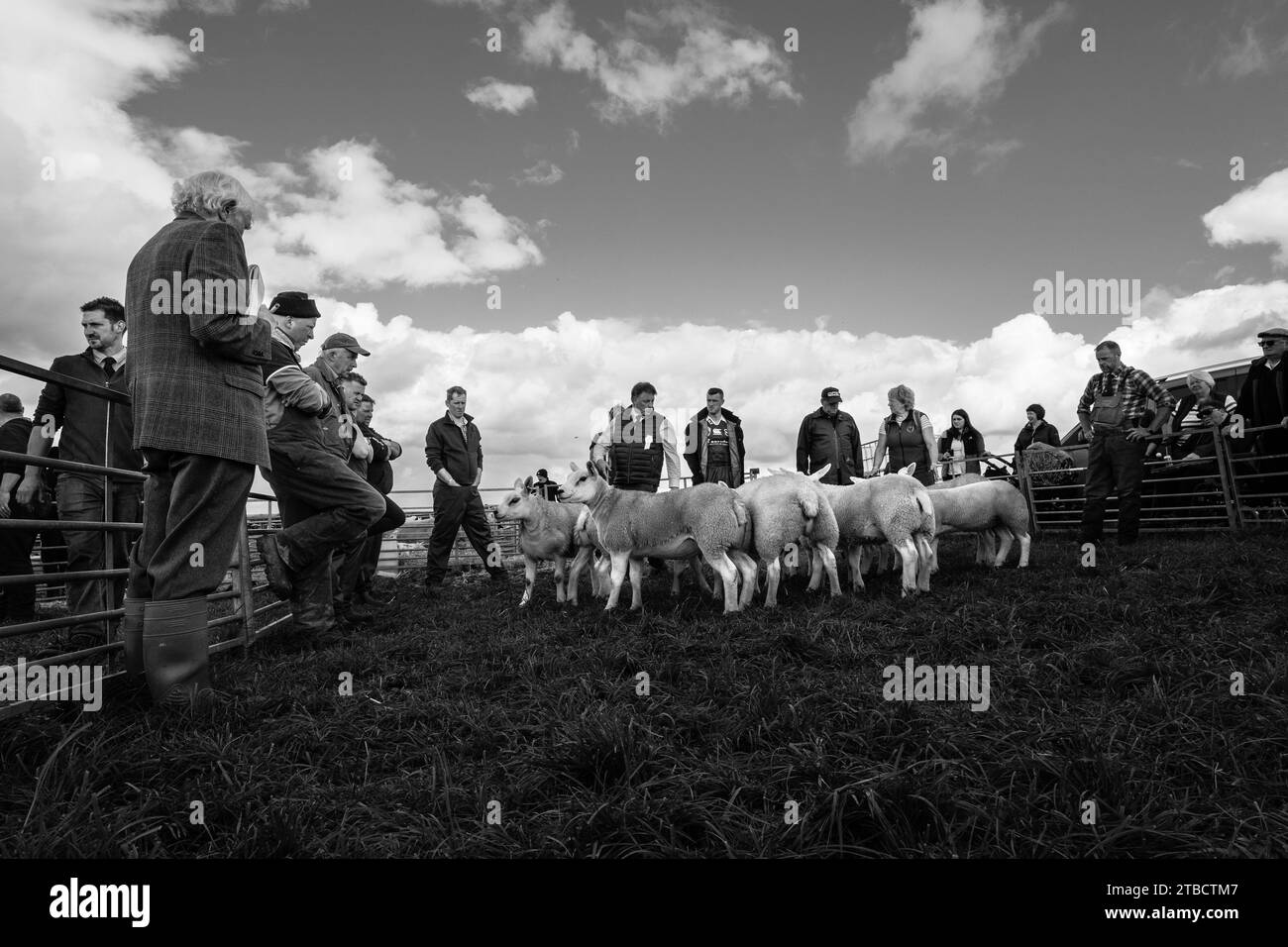 Bilder Der Carnwath And Biggar Agricultural Society Zeigen Sommer 2023 Stockfoto