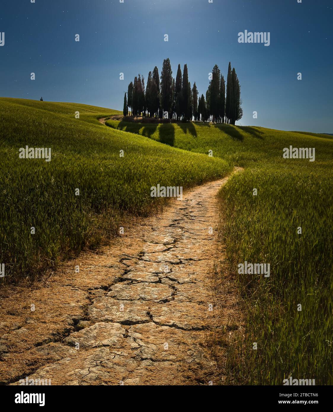 Ein Traum im Mondschein Stockfoto