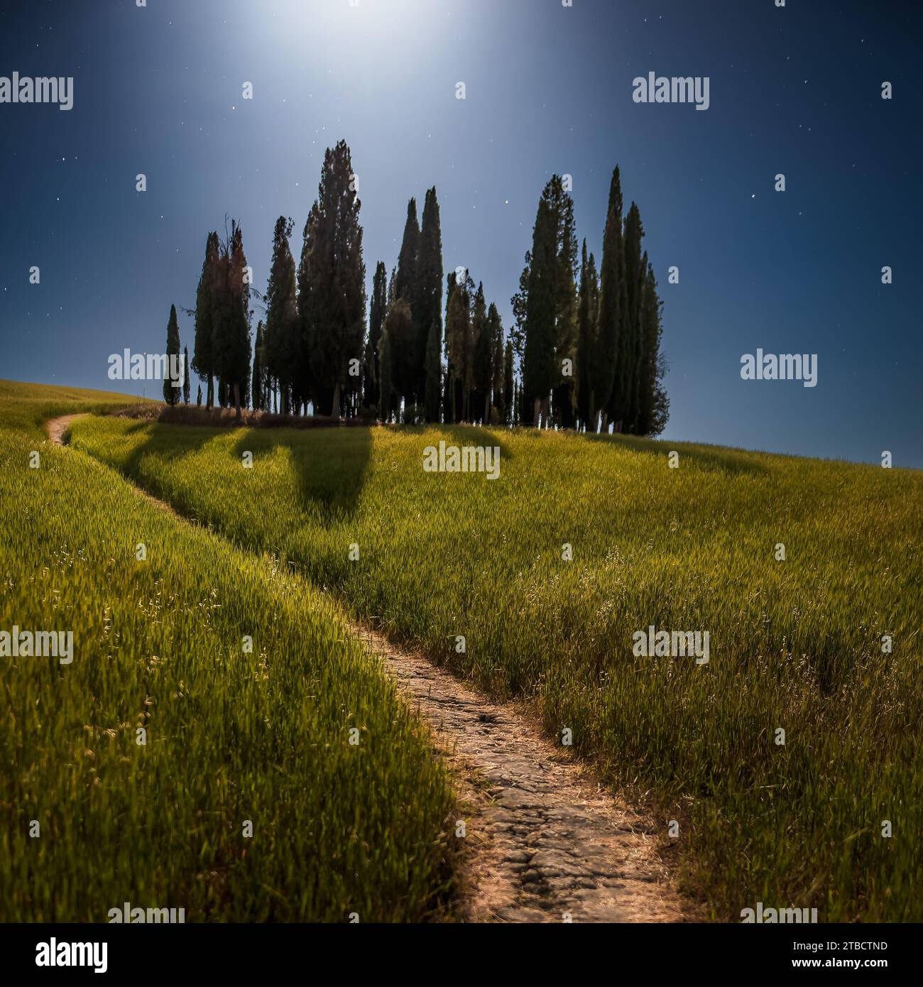 Ein Sommernachtstraum Stockfoto