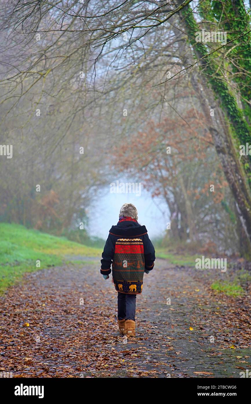 Ältere Frauen wandern im Herbstwald mit Herbstkoloren Perigord National Forest Stockfoto