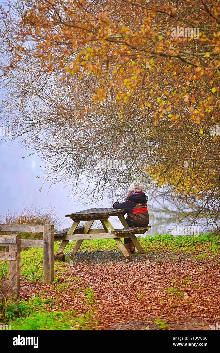 Ältere Frauen wandern im Herbstwald mit Herbstkoloren Perigord National Forest Stockfoto