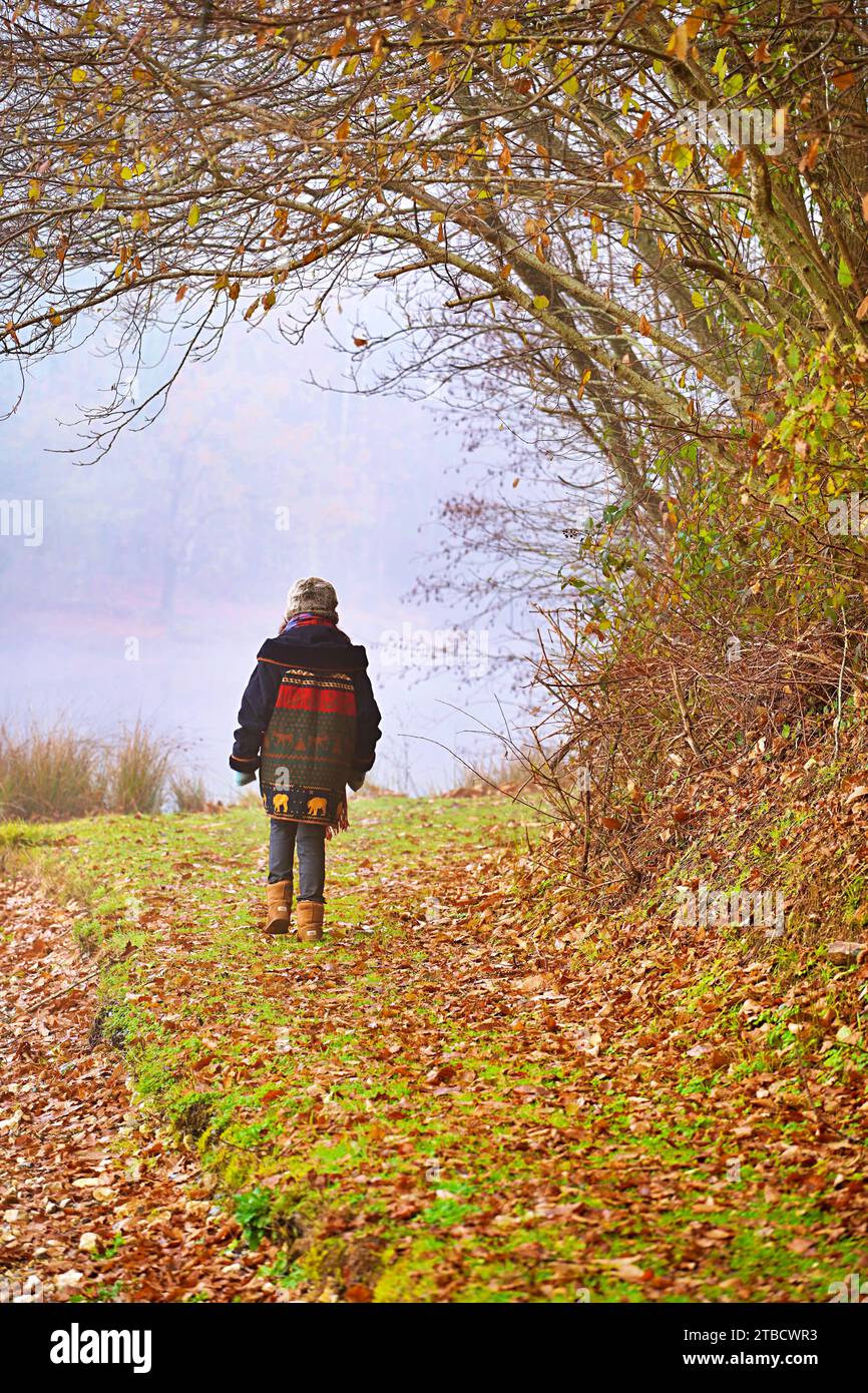 Ältere Frauen wandern im Herbstwald mit Herbstkoloren Perigord National Forest Stockfoto