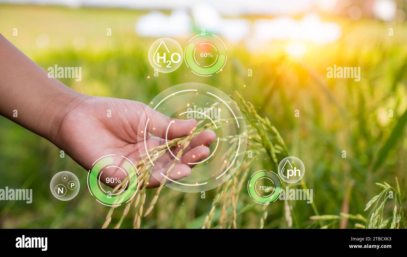Smart Farming mit IoT, futuristisches Landwirtschaftskonzept 4,0, Farming 4,0, Smart Agricultural Technology and innovative Agricultural Concepts, Farmer US Stockfoto