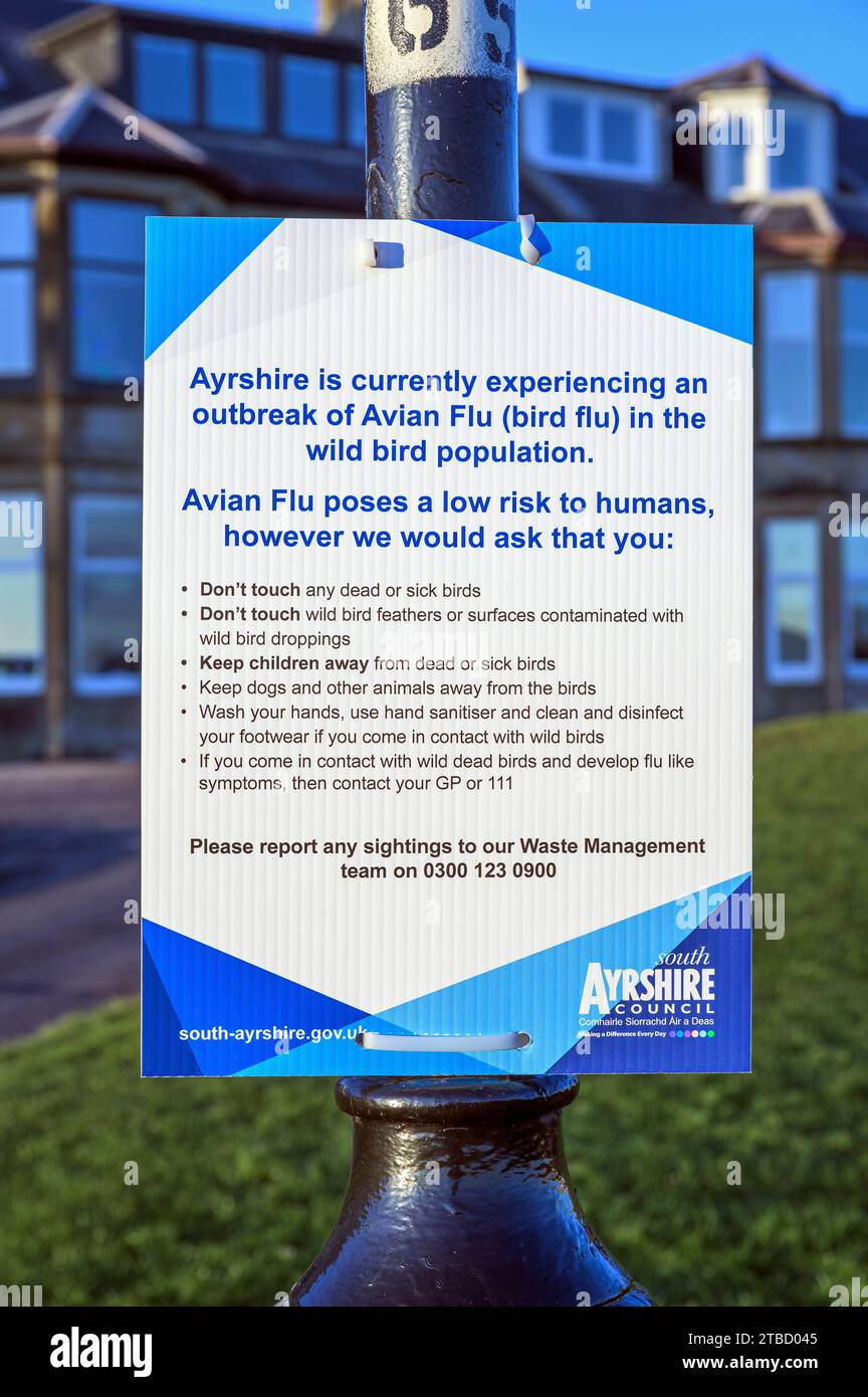 Eine öffentliche Bekanntmachung des South Ayrshire Council Warnung vor einem Ausbruch der Vogelgrippe, Schottland, Großbritannien, Europa Stockfoto