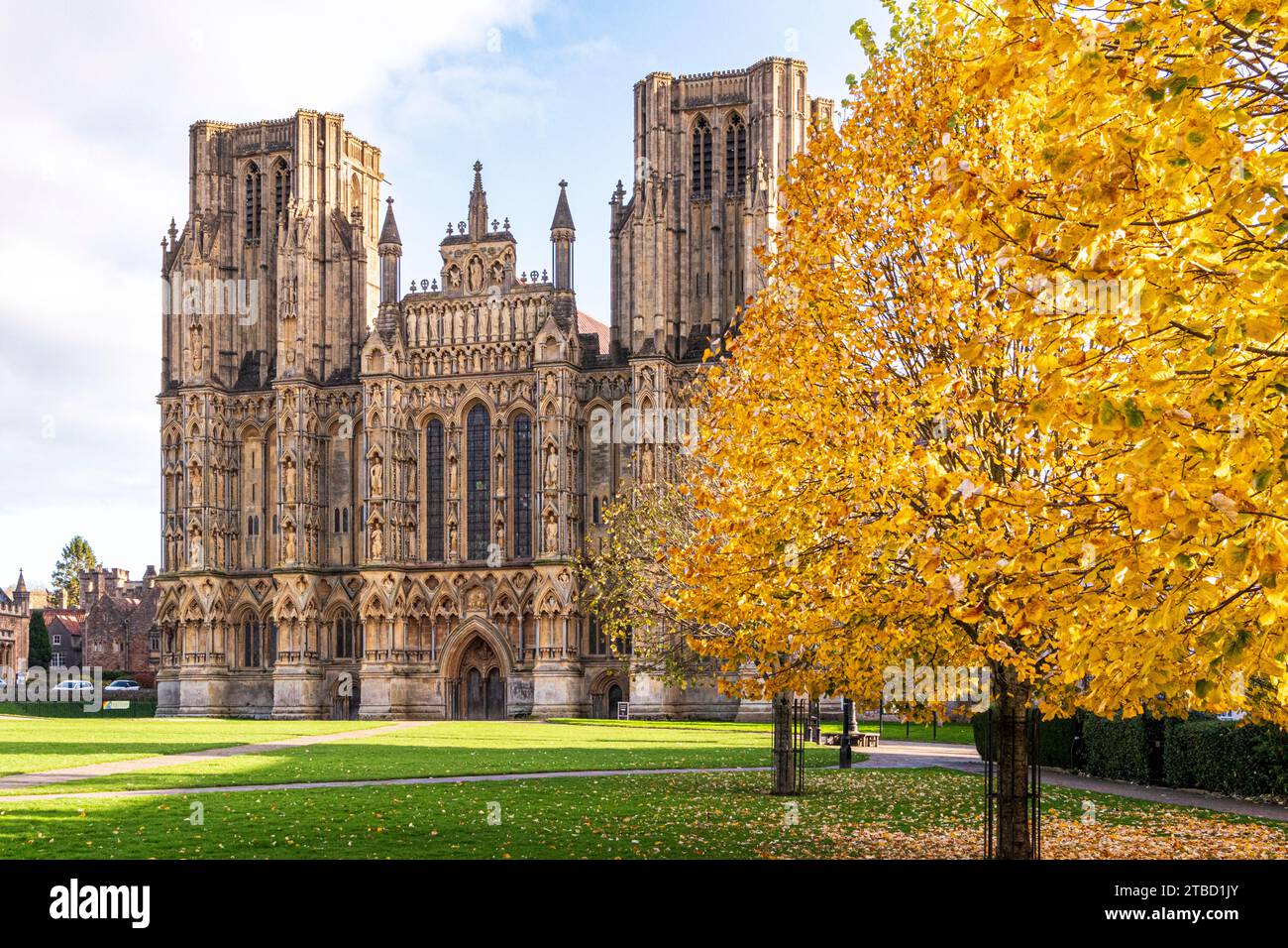 Herbstfarben auf der Kathedrale grün vor der Westfront der Wells Cathedral, Wells, Somerset, England, Großbritannien Stockfoto