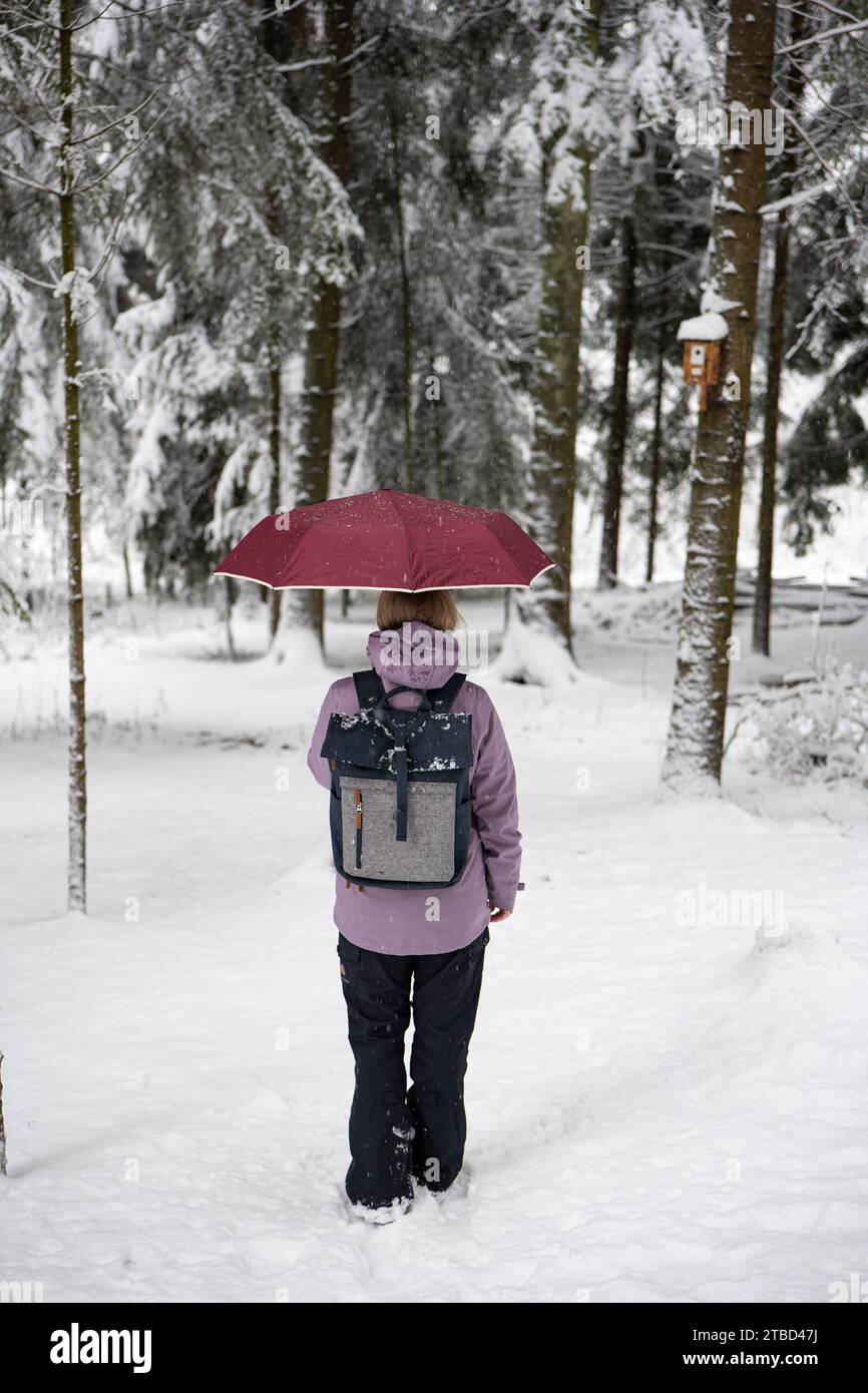 Unerkennbare kaukasische junge Frau mit offenem Schirm, die durch einen verschneiten Wald in Europa geht. Von hinten aufgenommen, selektiver Fokus. Stockfoto