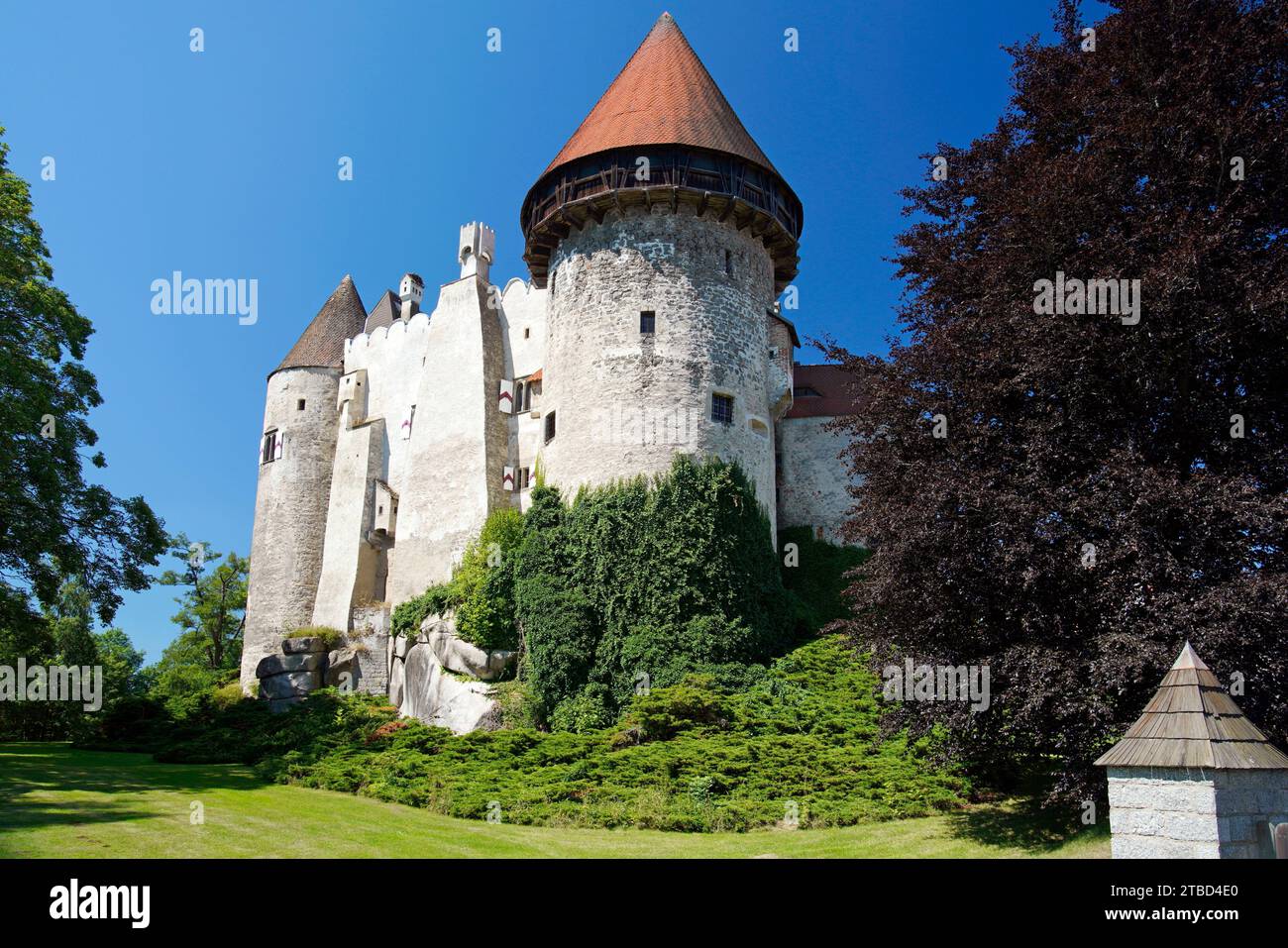 Wassergraben, Wasserschloss, Schloss Heidenreichstein, von Kinsky, Niederösterreich, Österreich Stockfoto
