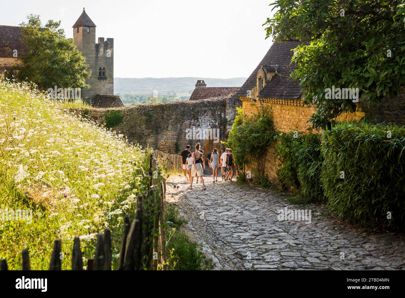 Mittelalterliches Dorf, Beynac-et-Cazenac, Dordogne, Perigord, Departement Dordogne, Region Nouvelle-Aquitaine, Frankreich Stockfoto