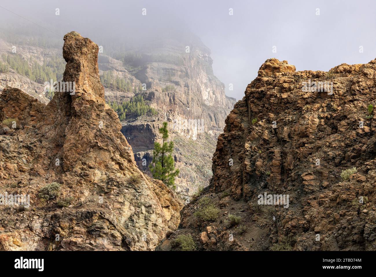 Vulkanische Gesteine, grobes Material, Mirador Degollada de la Cruz Grande, San Bartolome de Tirajana, Gran Canaria, Kanarische Inseln Stockfoto