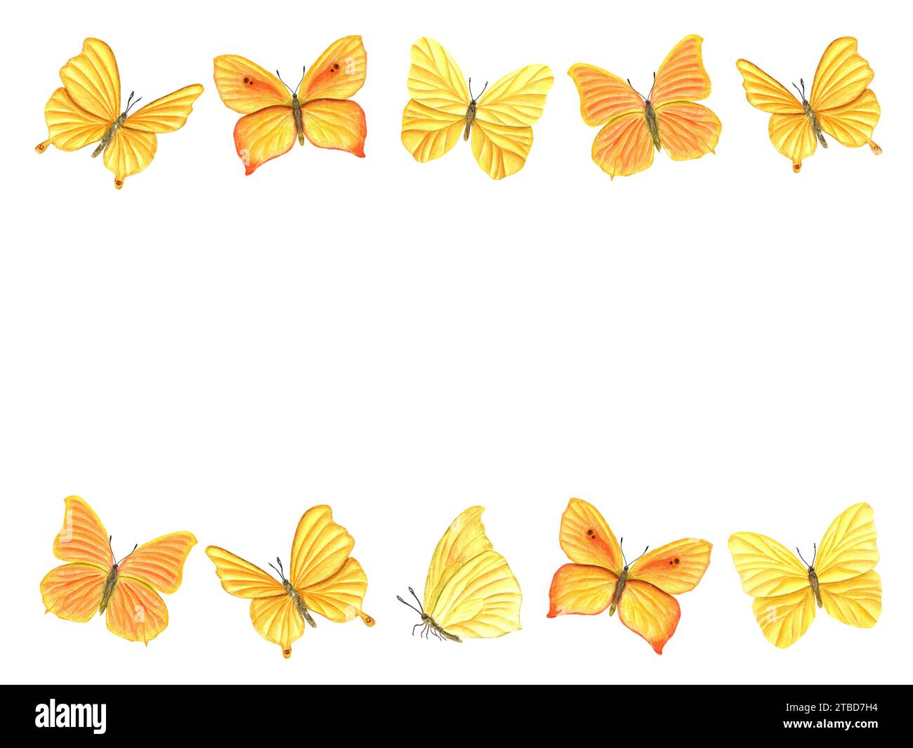 Horizontaler Rahmen von gelb-orangen Schmetterlingen. Flatternde schmetterlinge, tropische Fliegen, sitzende Insekten mit Flügeln. Aquarellabbildung. Stockfoto