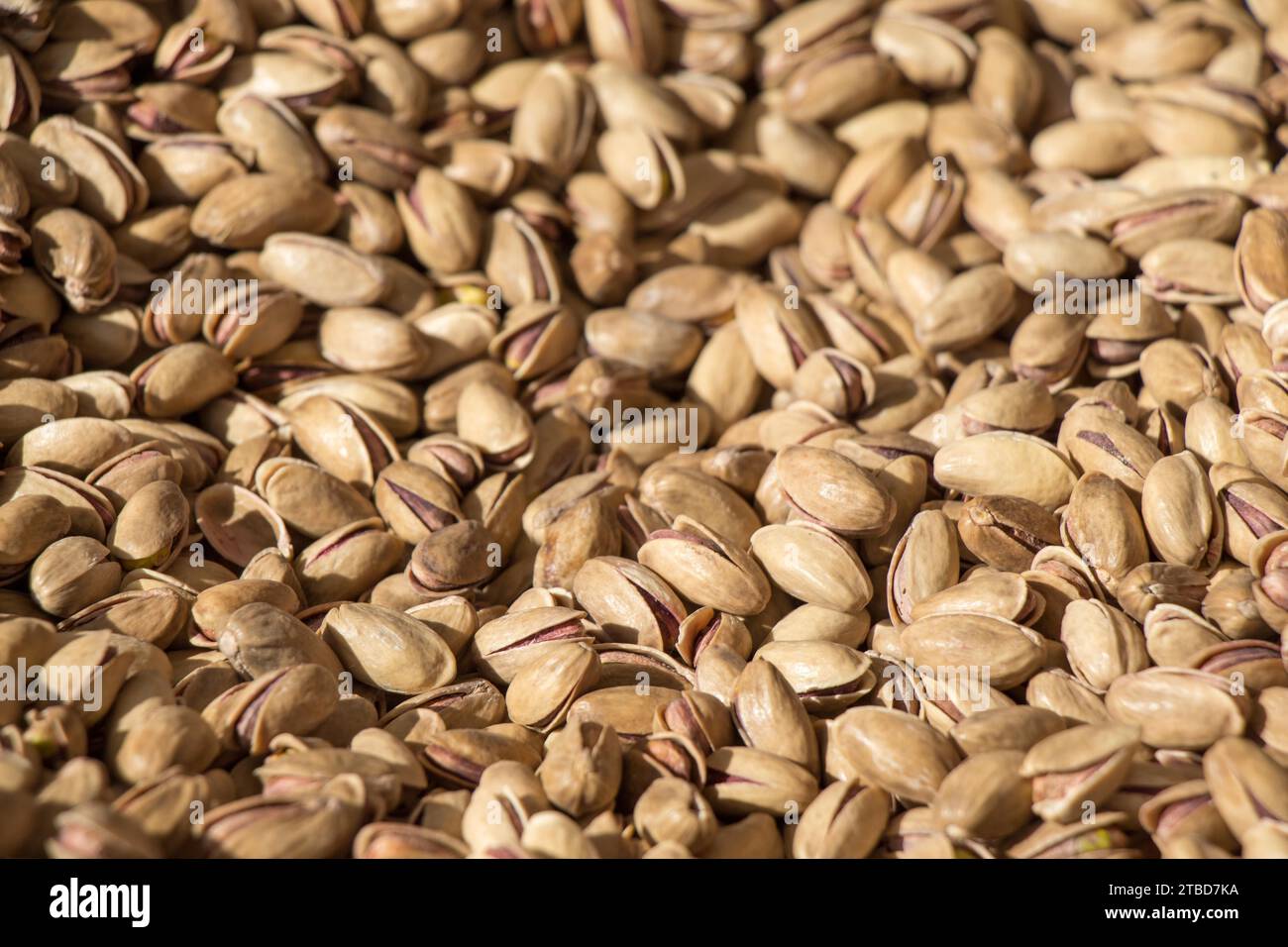 Pistazien mit Schale zum Verzehr bereit Stockfoto