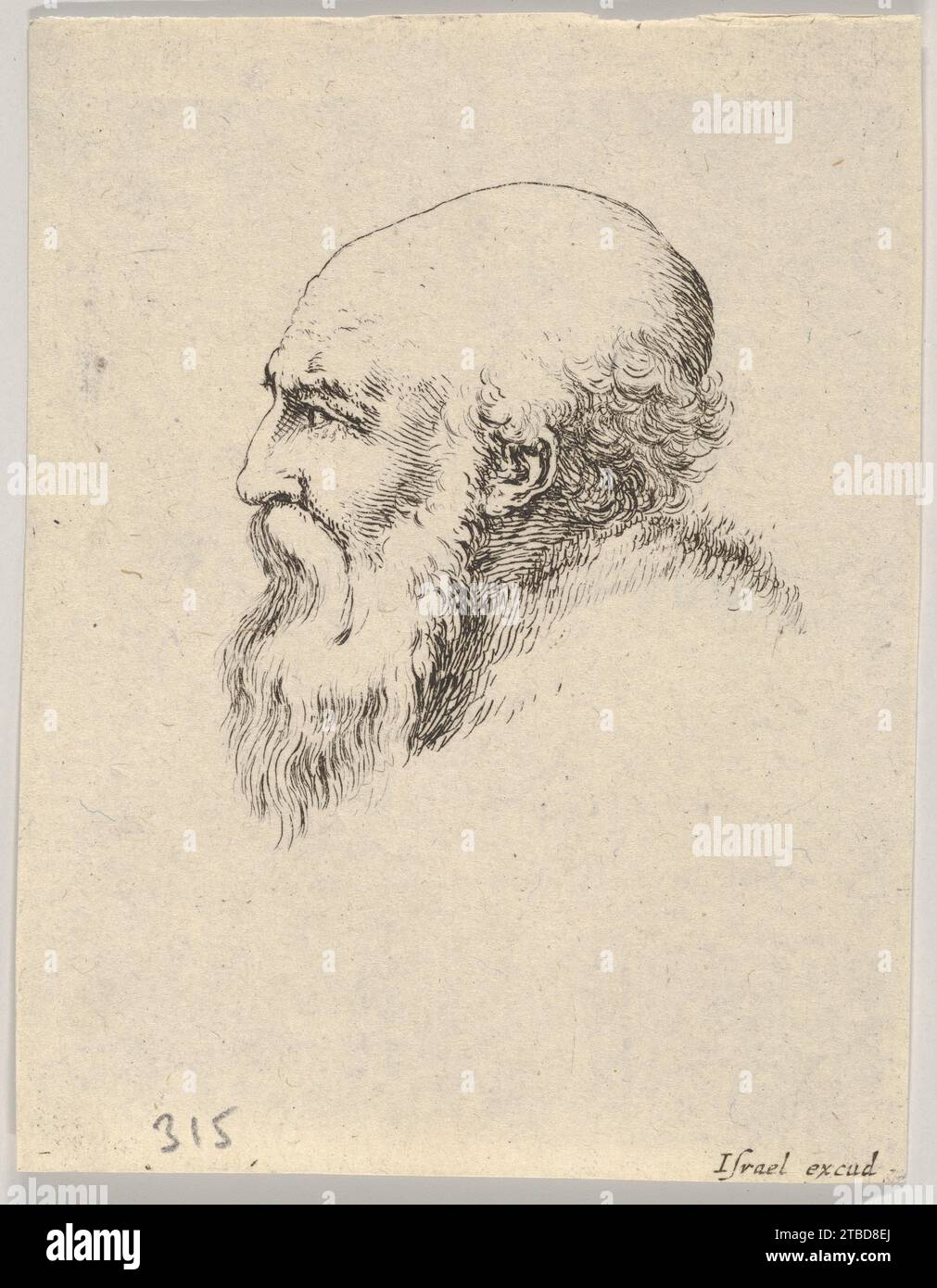 Platte 8: Kopf eines alten Glatzen mit langem Bart, nach links im Profil, aus „verschiedene Köpfe und Figuren“ (Diverses tetes et Figures) 2012 von Stefano della Bella Stockfoto