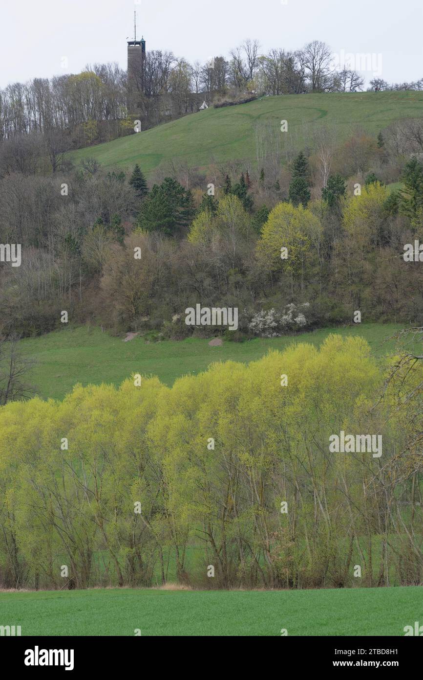 Blick auf das Einkorn, Halls Hausberg, Limpurger Berge, Einkornwald, Kohlenstraße, Einkorn, Naturpark Schwaebisch-Fraenkischer Wald Stockfoto