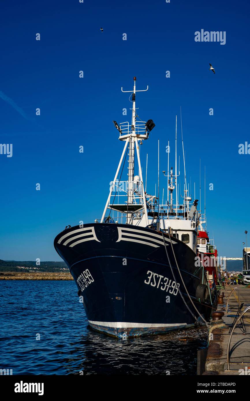 Fischereischleppnetzfischer in Muros, Galicien, Spanien Stockfoto