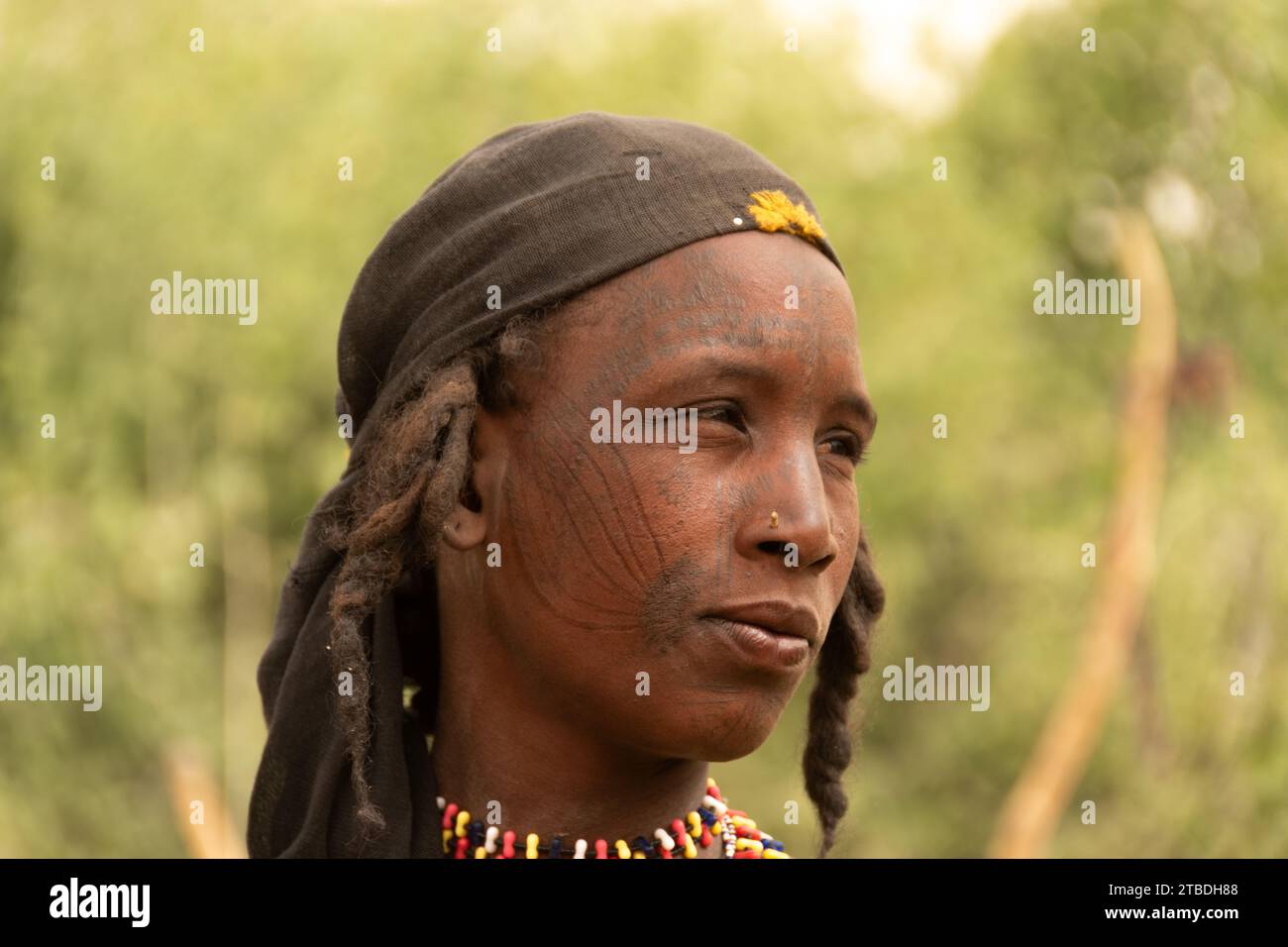 fulani-Frauen in der sahelzone, im tschad, afrika Stockfoto