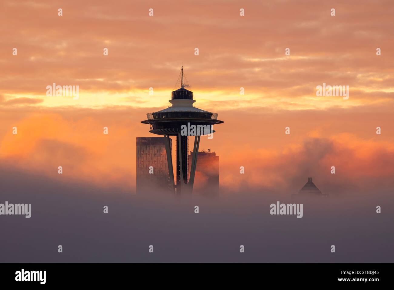 WA23866-00...WASHINGTON - Seattle Morning mit nur der Space Needle und ein paar Hochhäusern stehen über der Morgennebeldecke. Stockfoto