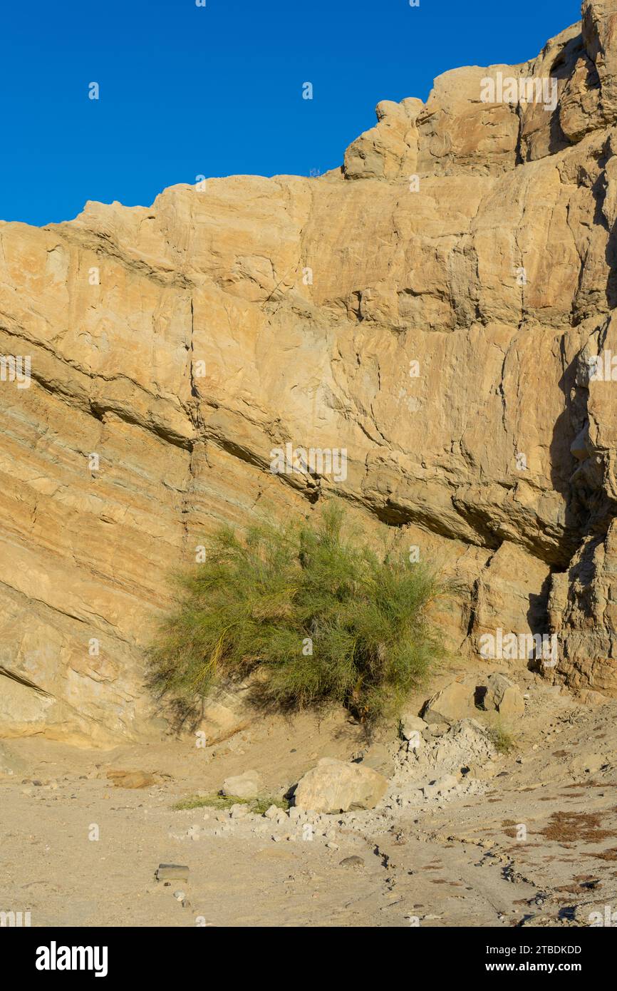Box Canyon Wash, ein trockener, staubiger, leerer Canyon in Südkalifornien. Fotos, die im Morgenlicht aufgenommen wurden Stockfoto