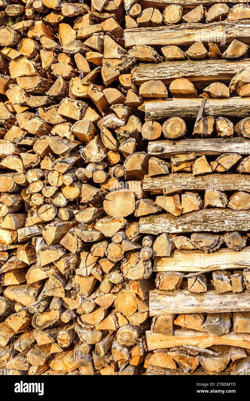 Großer Stapel von Eichenzweigen und geteilten Stämmen für heimische Brennstoffe - Sud-Touraine, Zentralfrankreich. Stockfoto