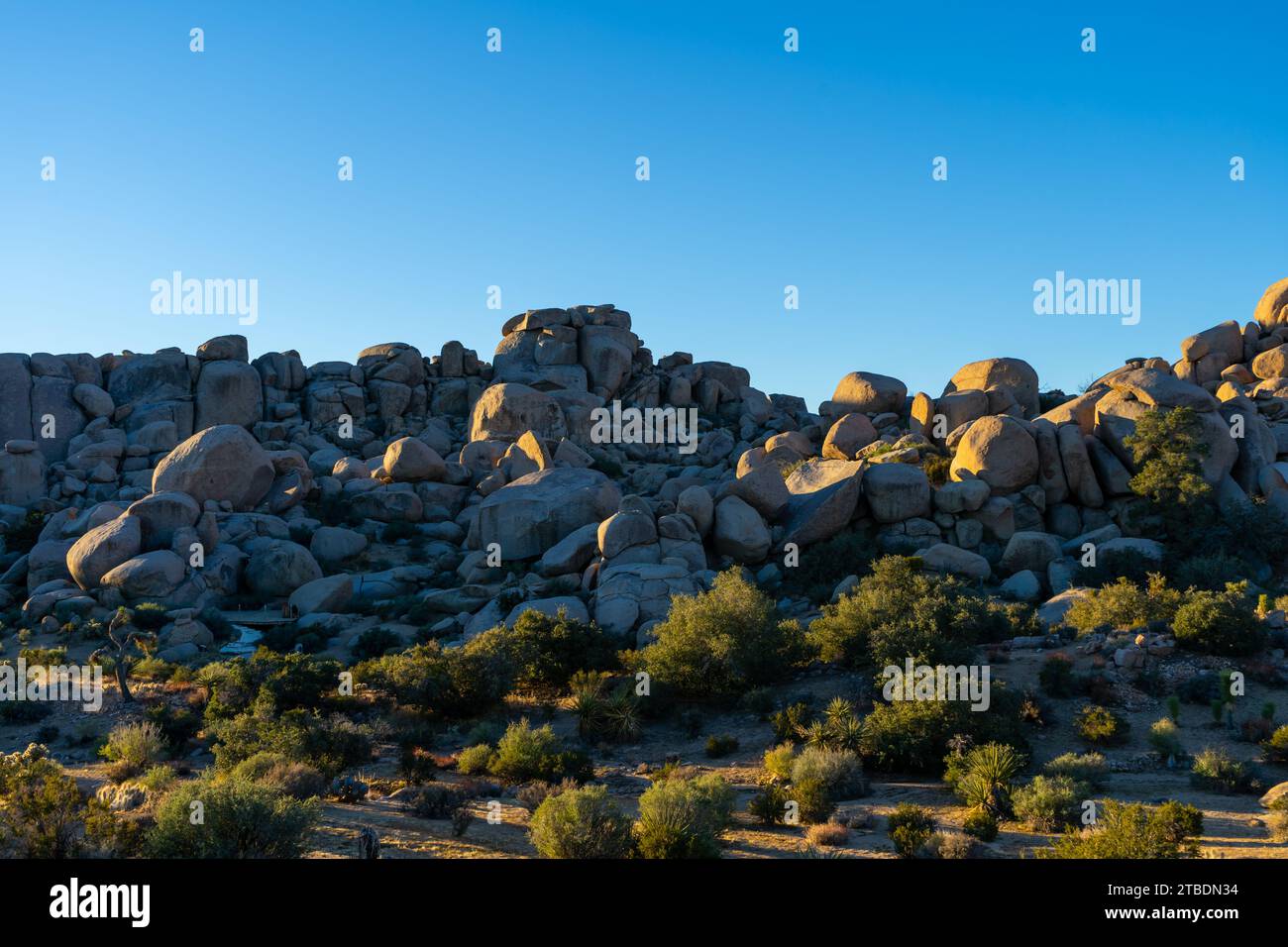 Garth's Boulder Garden im Yucca Valley. Aufgenommen am Morgen an einem klaren blauen Himmel. Stockfoto