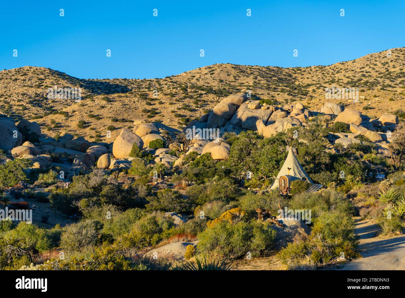 Garth's Boulder Garden im Yucca Valley. Aufgenommen am Morgen an einem klaren blauen Himmel. Stockfoto