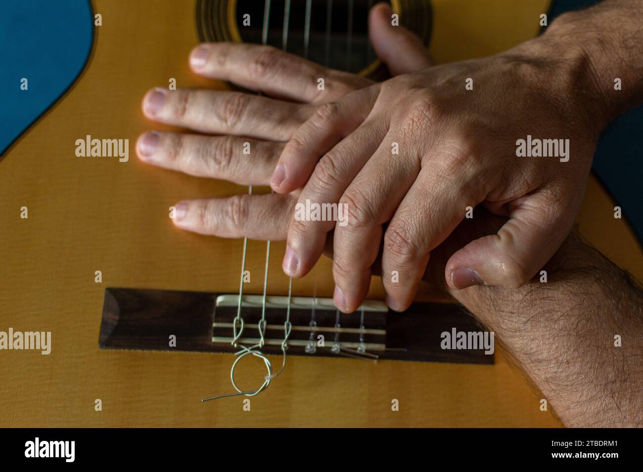 Hände eines klassischen Gitarristen auf der Gitarre. Stockfoto