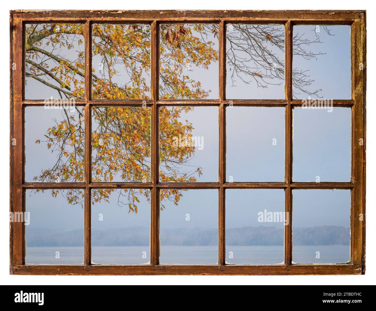 Nebeliger Novembermorgen über einem nebeligen See oder Fluss mit einer Eiche aus einem Retro-Fenster Stockfoto