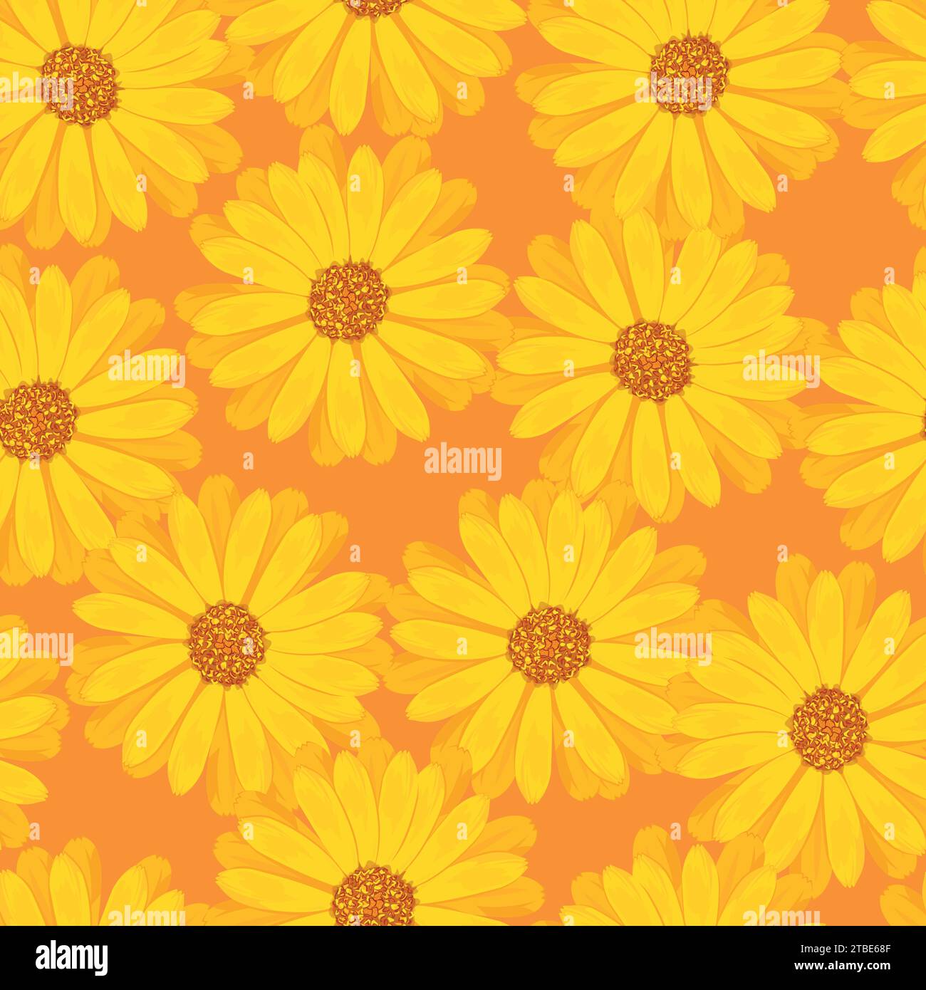 Nahtloses Muster mit Knospen von Ringelblumen auf orangem Hintergrund Stock Vektor