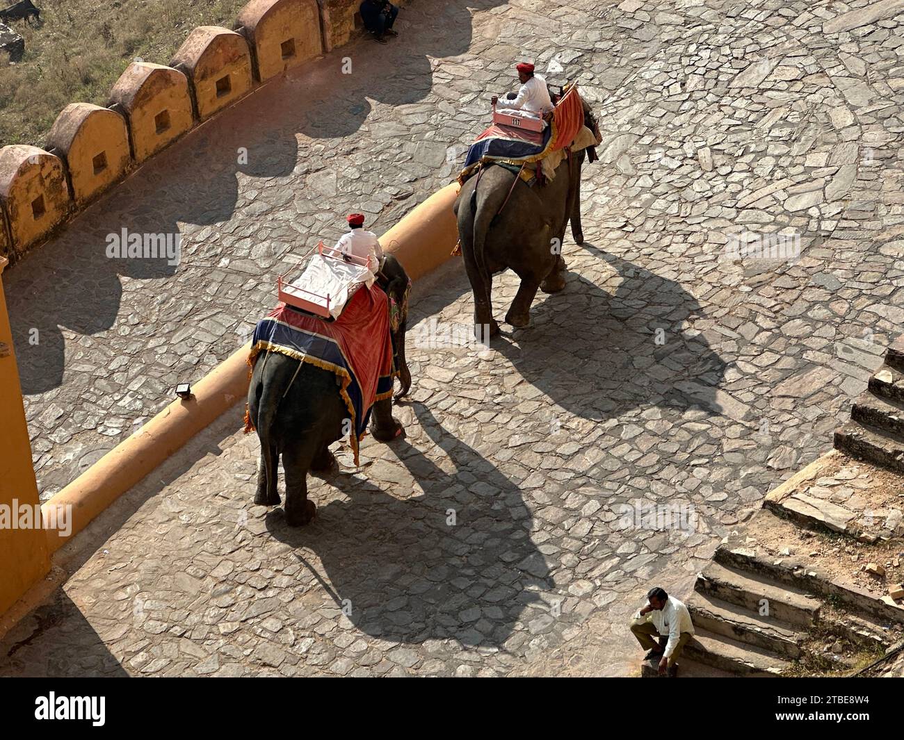 Blick auf zwei Elefanten im Jaigarh Fort, Jaipur, Rajasthan, Indien Stockfoto