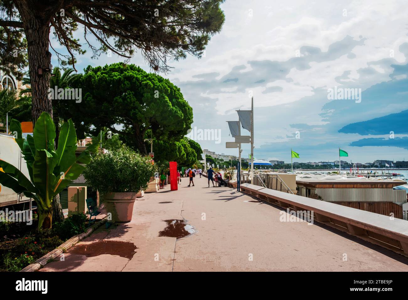 Fantastische Croisette mit hohen Palmen in Cannes Autos auf Parkplätzen (einschließlich Sport- und Luxusautos). Fantastische Erholung an der französischen Riviera in Stockfoto