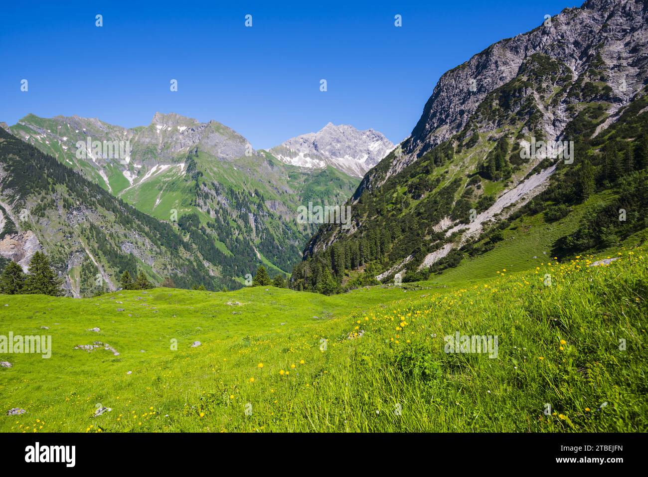 Schneck, 2268m und großer Wilder, 2379m, Hochvogelgruppe und Rosszahngruppe, Allgäuer Alpen, Allgäu, Bayern, Deutschland, Europa Stockfoto