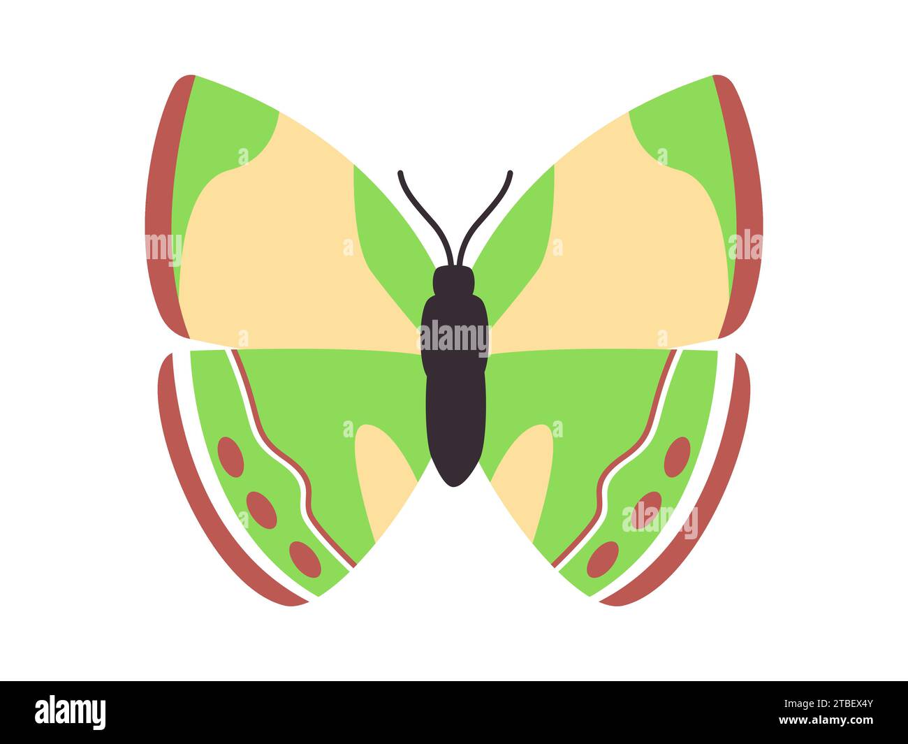 Grüne und braune Farbe Schmetterling wilde Natur Insektentier niedliche schöne mehrfarbige Flügel Stock Vektor