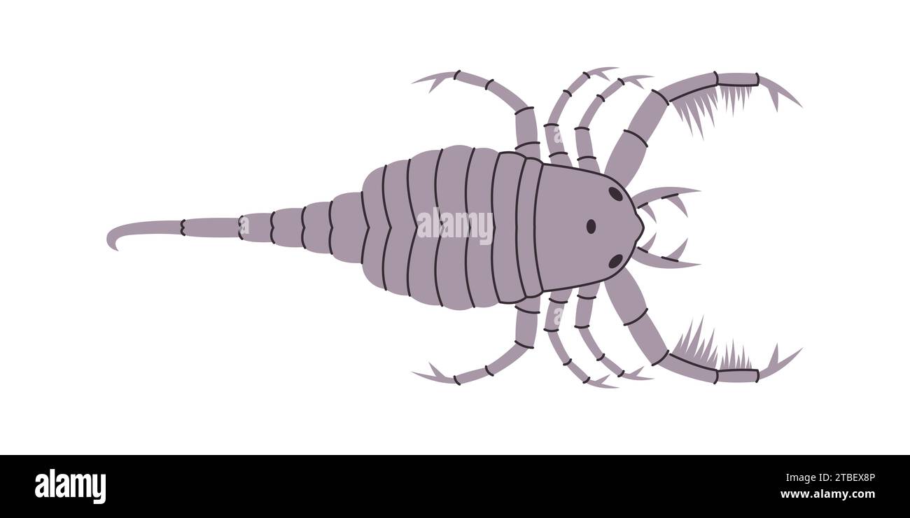 Graue Farbe Meeresskorpion wildes Naturtier mit Zangen stachen gefährliche Aggressionswesen Stock Vektor