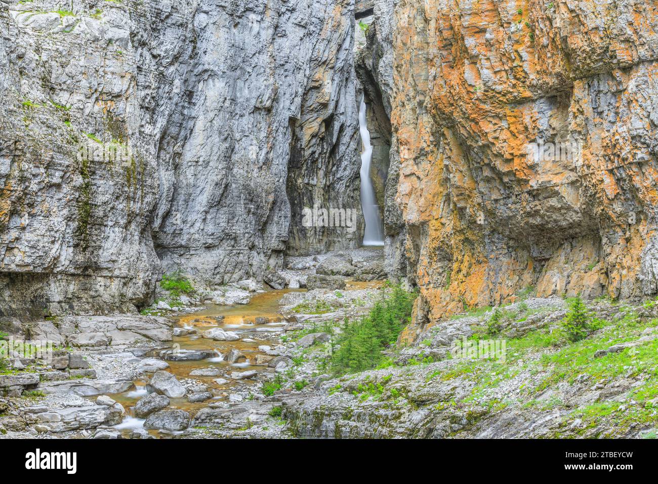 Muddy Creek Canyon und Wasserfällen entlang der felsigen Berg in der Nähe von Bynum, montana Stockfoto