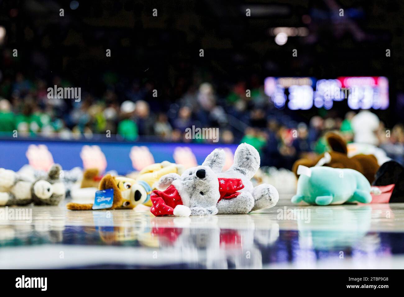 South Bend, Indiana, USA. Dezember 2023. Teddybär warf sich für wohltätige Zwecke während der Halbzeit des NCAA Women's Basketball-Spiels zwischen den Lafayette Leoparden und den Notre Dame Fighting Irish im Purcell Pavilion im Joyce Center in South Bend, Indiana. Notre Dame besiegte Lafayette mit 96.42. John Mersits/CSM/Alamy Live News Stockfoto
