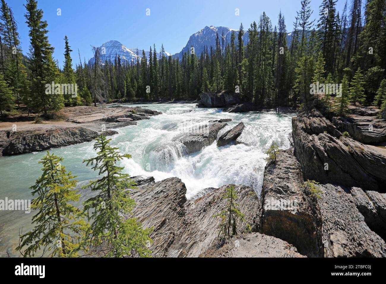 Kaskade am Kicking Horse River, Yoho NP, Kanada Stockfoto