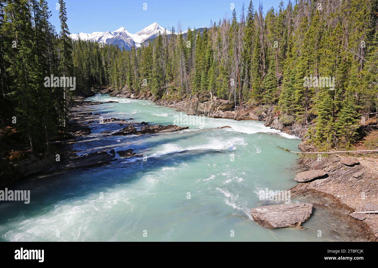 Kicking Horse River, Yoho NP, Kanada Stockfoto
