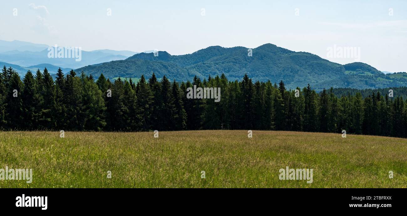 Blick vom Kanur-Hügel im Frühling auf die Galle Karpaty-Berge an der slowakisch-tschechischen Grenze Stockfoto