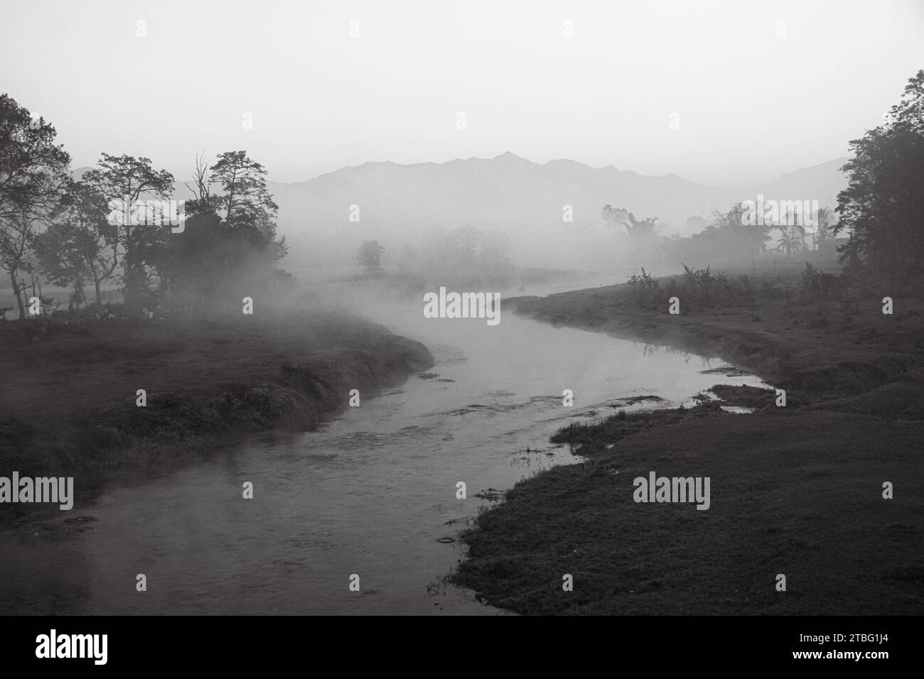 Im Chitwan National Park erhebt sich am Wintermorgen Nebel über dem Fluss Rapti. Chitwan, Nepal. Stockfoto