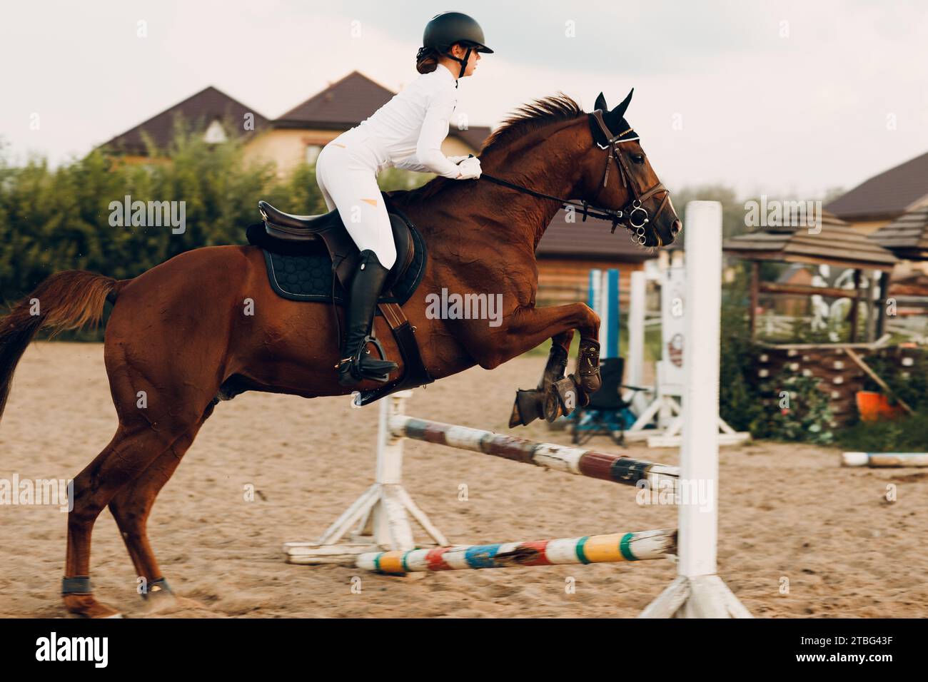 Seitenansicht der Dressurpferdeschranke mit Reiterjockey in weißer Uniform beim Springwettbewerb Stockfoto