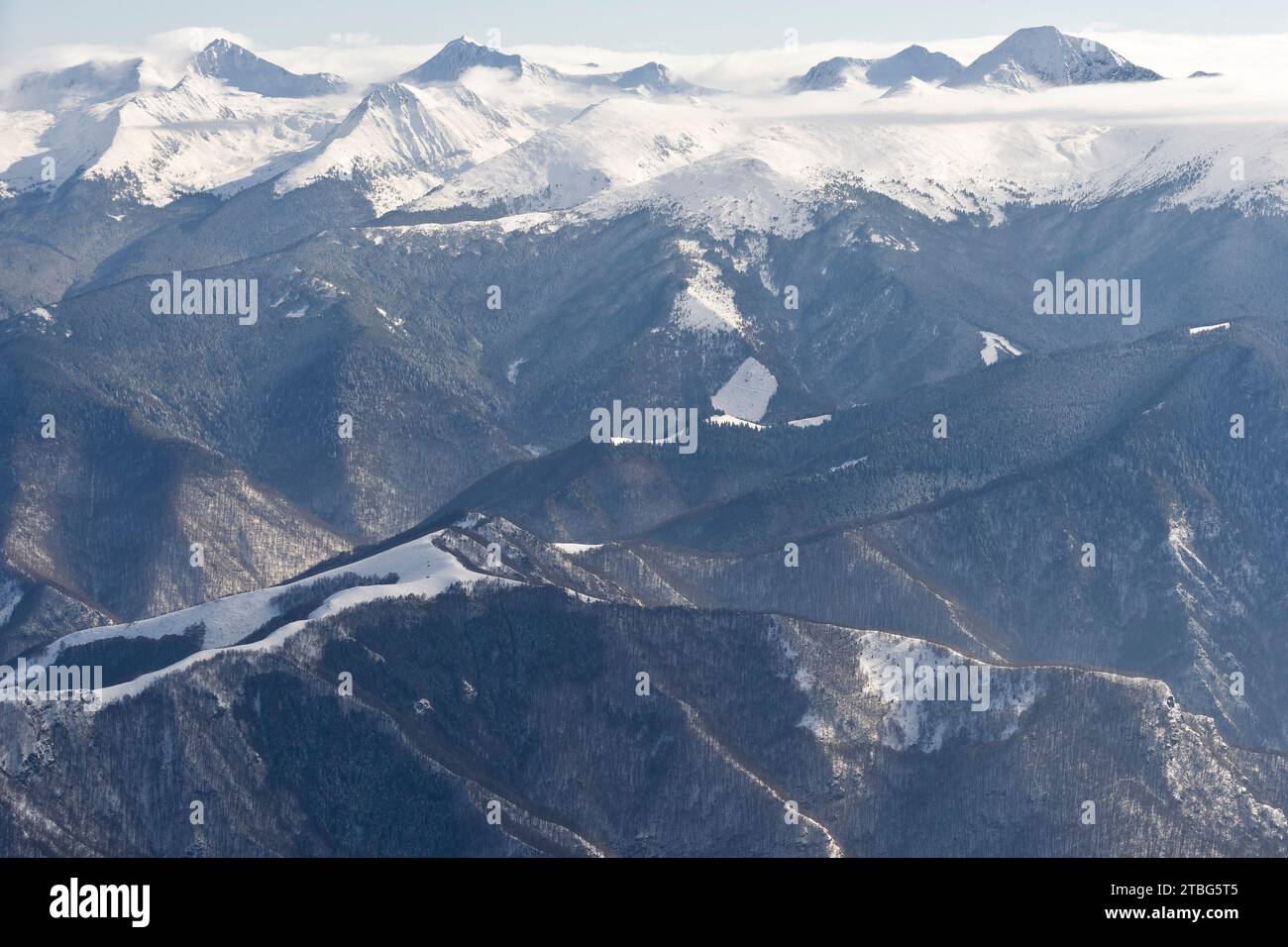 Rumänien - Alte Wälder im Winter. Stockfoto