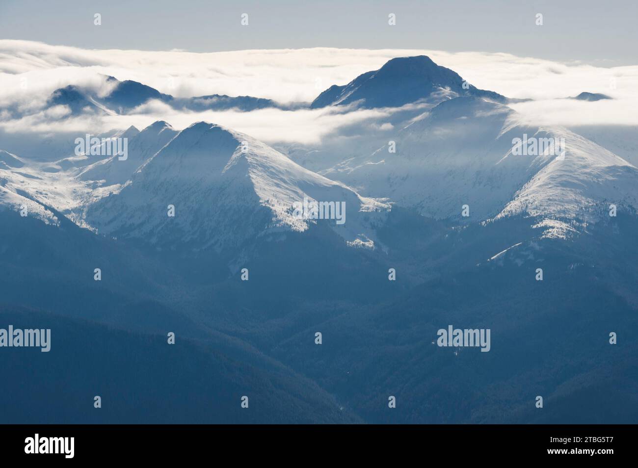 Rumänien - Alte Wälder im Winter. Stockfoto