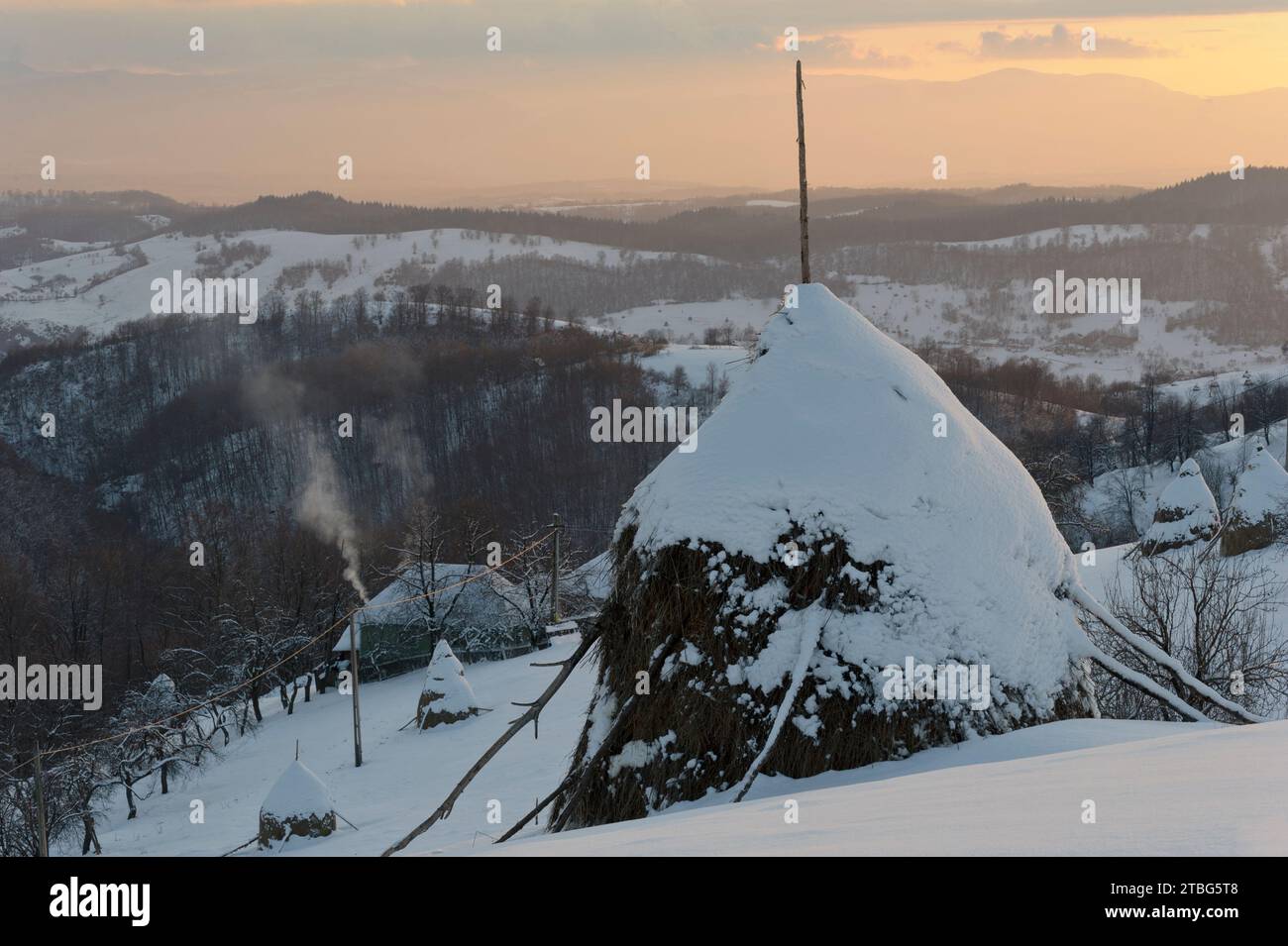 Apuseni-Berge, Rumänien - Winter in einer abgelegenen, ländlichen Gegend mit reicher Artenvielfalt auf dem Land. Die Bauern leben hauptsächlich aus der Selbstversorgung. Stockfoto