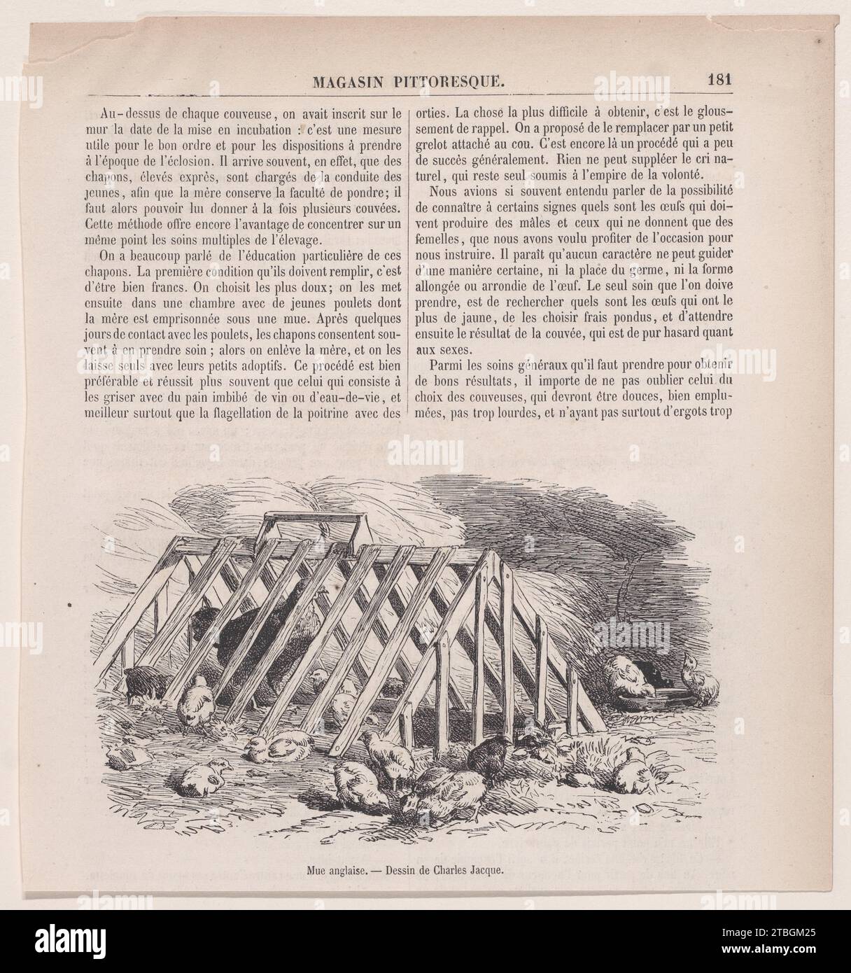 Mue anglaise; aus Magasin Pittoresque 1934 von Charles Jacque Stockfoto