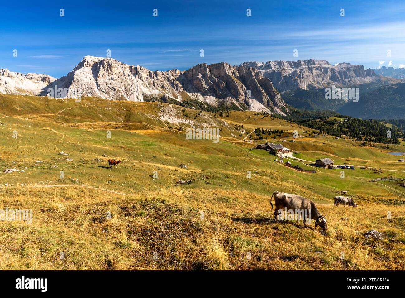 Hütten auf dem Seceda-Berg vor der CIR-Gruppe, Gröden, Südtirol Stockfoto