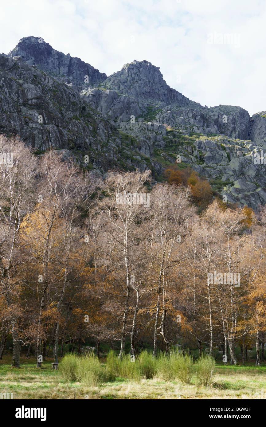 Winterliche Szene im Covão d'Ametade in Serra da Estrela, Portugal, Europa Stockfoto