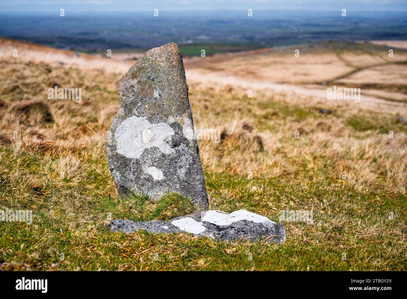 Natürlich vorkommende, aufrechte Granitplatte, die durch Erosion am West Mill Tor, Dartmoor National Park, Devon, Großbritannien, entdeckt wurde. Stockfoto
